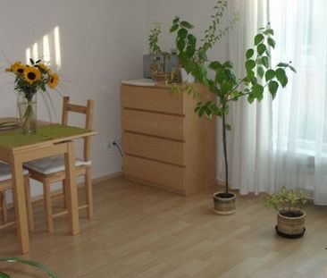 Pronájem bytu 1+kk 29 m² - Fotografie 2