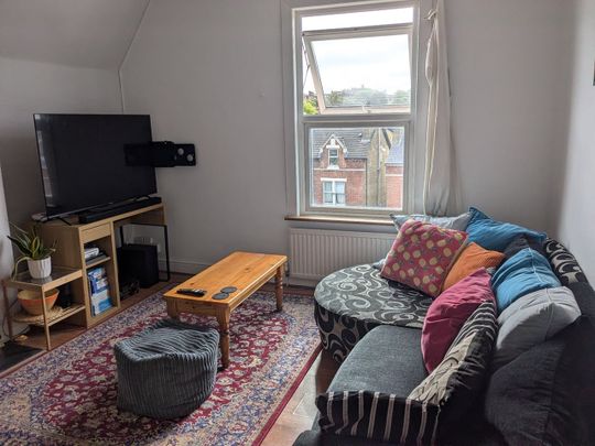 Room in a Shared Flat, Norwood Road, SE24 - Photo 1