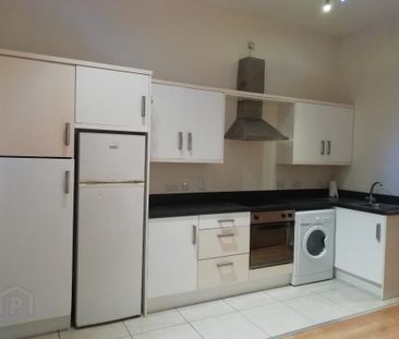 80 Eglantine Avenue, Belfast, BT9 6EU - Photo 2