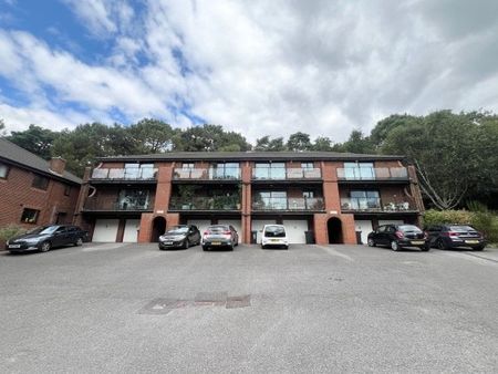 Constitution Hill Gardens, Poole - Photo 5