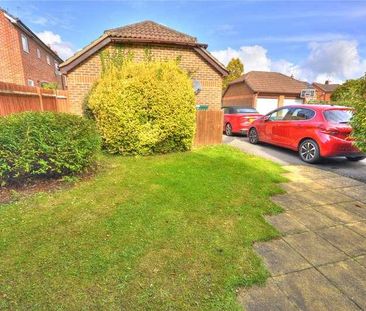Brook Mead, Milford, Godalming, Surrey, GU8 - Photo 5