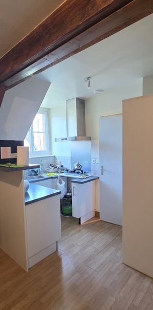 Location Appartement 2 pièces 51m² SULLY SUR LOIRE 45600 - Photo 1