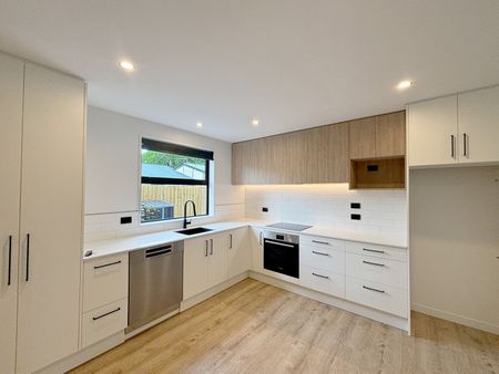 4/234 Wilsons Road, Waltham, NZ 8023 - Photo 4