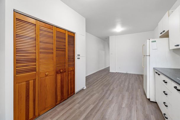 2053 Rue Sicard, Montréal (Mercier/Hochelaga-Maisonneuve), H1V2Y3 - Photo 1