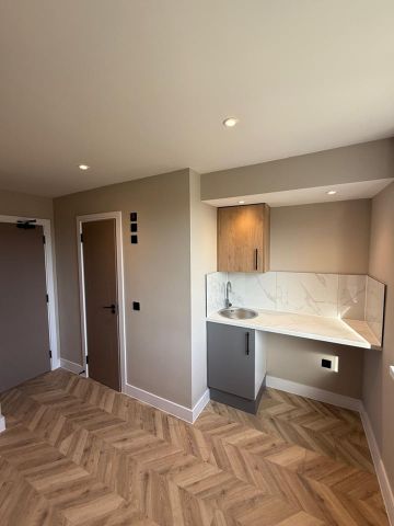 Studio Flat, Blackwell Close, E5 - Photo 5