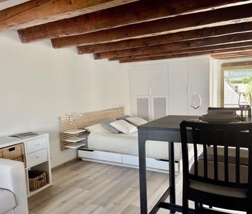 Studio meublé à louer ? Nyon, Rue de Rive 53 vue lac au 4e étage di... - Photo 4