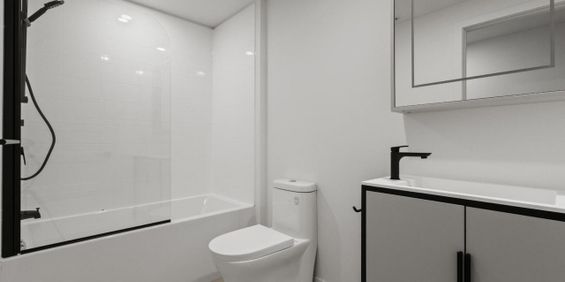 1 chambre - 1133 Avenue Viger Est, Montréal - Photo 3