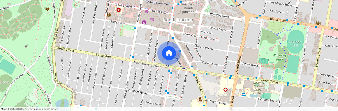 36 Brisbane Street, Bondi Junction NSW 2022