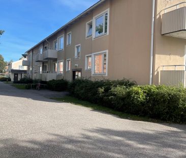 Tamms Väg, Tierp - Foto 4