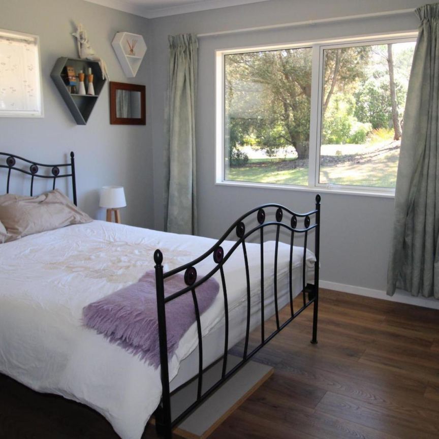 Beauty in the Pines - Photo 1