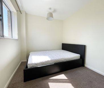1 Bedroom - Photo 6