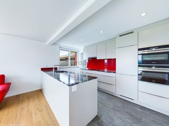 Modern duplex with many highlights in Gunzwil - Photo 1