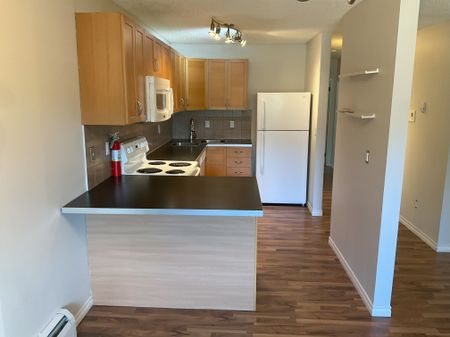 (PN102) Affordable 2-Bedroom Suite with Heat, Water & Parking Included - Photo 3
