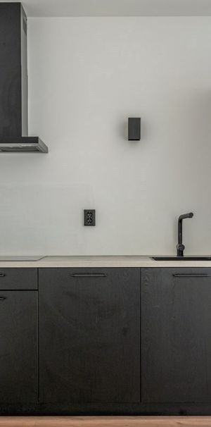 van Riesenstraat 12 - Foto 1