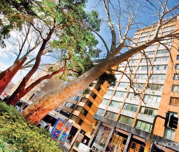 38 Bridge St, Sydney NSW 2000 - Apartment For Rent | Domain - Photo 6