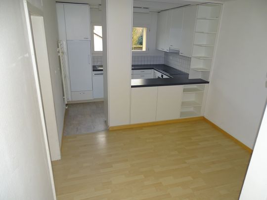 3.5 Zimmer, 68 m², 2. Stock - Foto 1