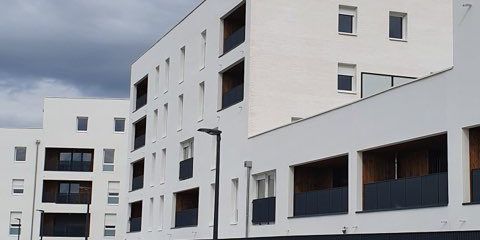 T1 AVEC PARKING - Photo 3