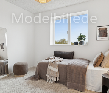 Vibjerg Sandvej 1 g - Photo 4