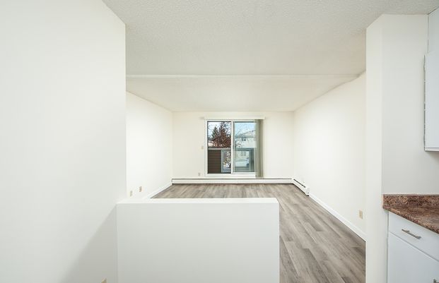 Daly Grove - Photo 1