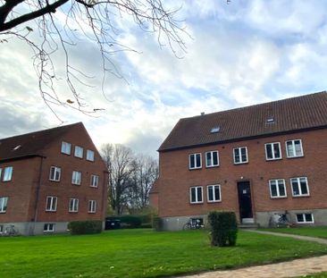 2 værelses – Plumsgade 14, st. th – Odense C - Foto 1