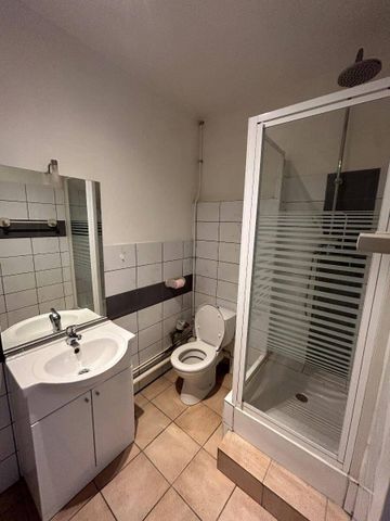 Location appartement 1 pièce 30.6 m² à Vienne (38200) 4 - Photo 4