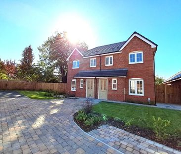 2 bedroom semi-detached house to rent - Photo 6