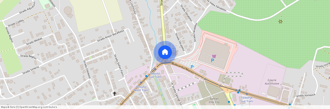 Strada Oașului, Iris, Cluj-Napoca, Zona Metropolitană Cluj, Cluj, 400645, România