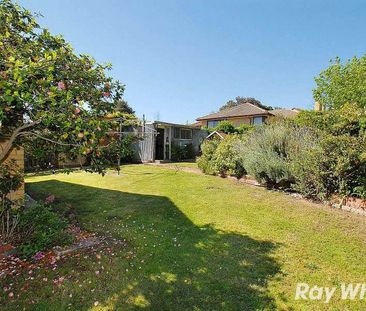 Perfect family home - 6 month lease only - Photo 4