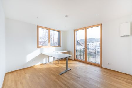 Exklusives Wohnen auf höchstem Niveau – Neubau 2024 - Foto 2