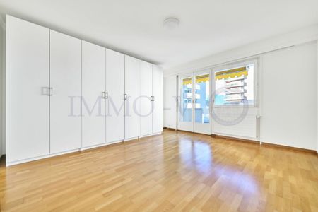 SPACIEUX AVEC BALCONS ET VUE LAC - EMPLACEMENT IDYLLIQUE - Photo 5