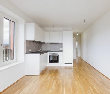 Wohnen am Rosenhügel im Wildgarten: 3-Zimmer-Neubau-Wohnung mit Bal... - Photo 4