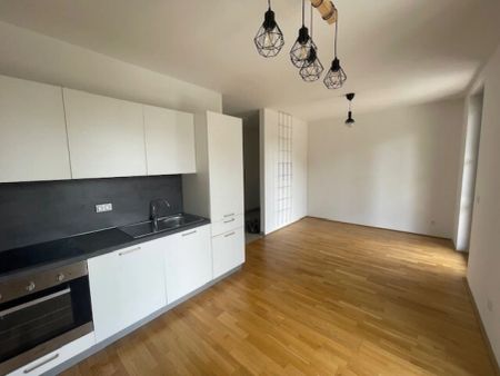 Neuwertige 2-Zimmer-Wohnung - Photo 2