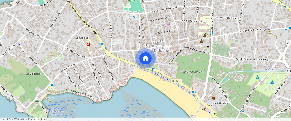 CHARENTE-MARITIME (17), - NOUVELLE-AQUITAINE, ST GEORGES DE DIDONNE (17110)