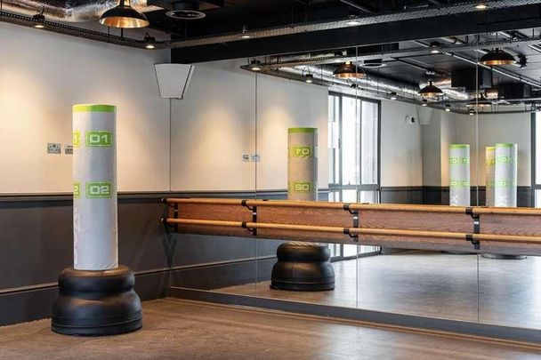 Ostro Tower, Canary Wharf, E14 - Photo 1
