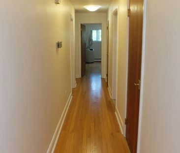 For Lease - 45 RIVERDALE Avenue Unit# Unit B, Ottawa Centre, Ontario - Photo 6