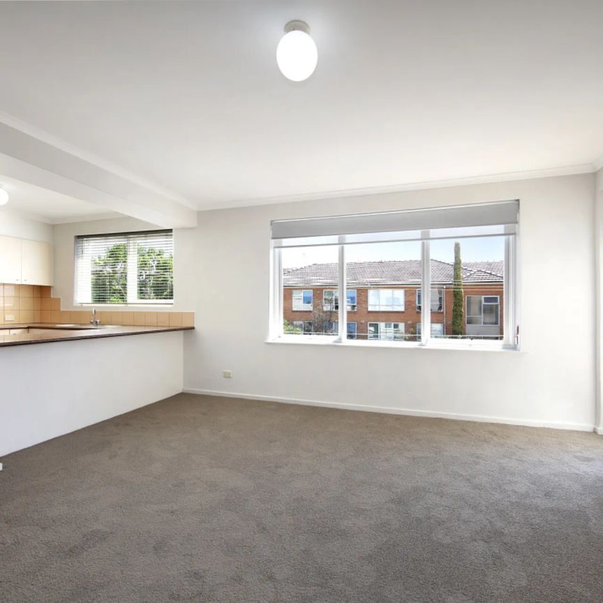 Fresh as a Daisy! - Photo 1