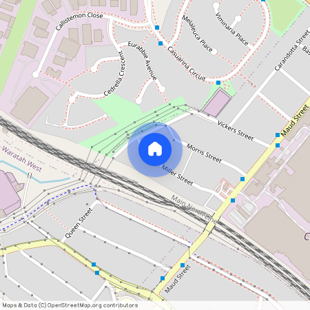 10 Miller Street, Mayfield West NSW 2304