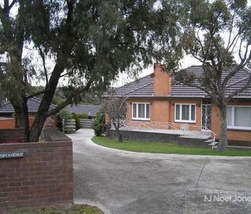 3/17 Moresby Avenue, BULLEEN - Photo 6
