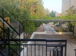 Μονοκατοικία για ενοικίαση - Μαρκόπουλο Ωρωπού, - Φωτογραφία 4