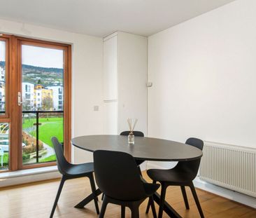 Apartment 24, Belarmine Hall, Belarmine Avenue, Dubli, Stepaside, D... - Photo 4