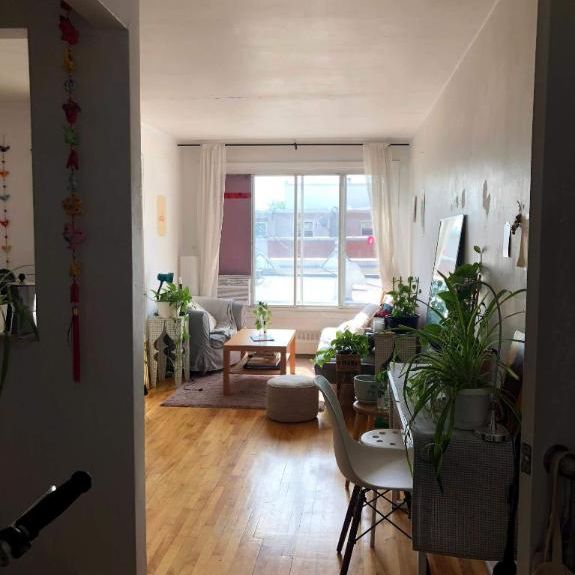 Studio - Montréal - $1,150 /mo - Photo 1