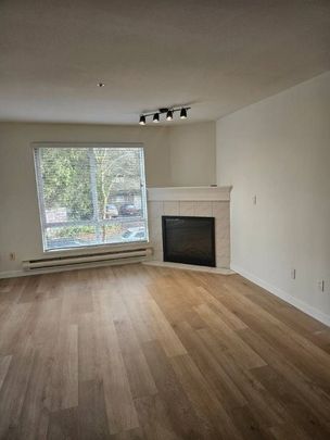 Lovely Updated 1 Bed Condo, Central Surrey, 2 Parking Spaces - Photo 1