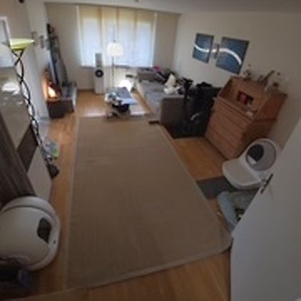 3½ Zimmer-Wohnung in Zürich - Kreis 11 Affoltern, möbliert, auf Zeit - Photo 1
