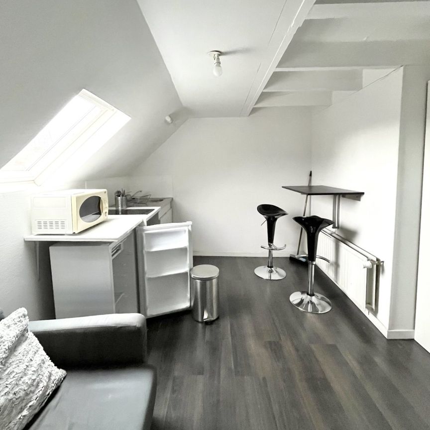 Location Appartement 1 pièce 13m² LILLE 59000 - Photo 1