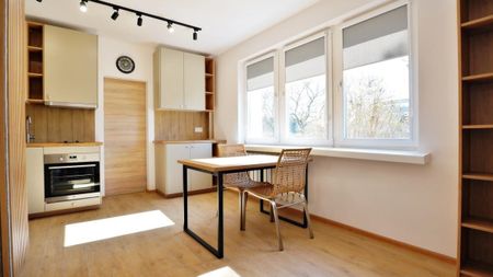 Mieszkanie do wynajęcia 2 pokoje Bolesława Śmiałego, Poznań 31.2 m² - Photo 4