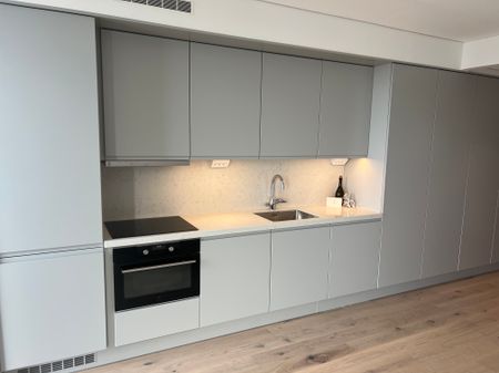 Lodjursstråket, Göteborg - Foto 4