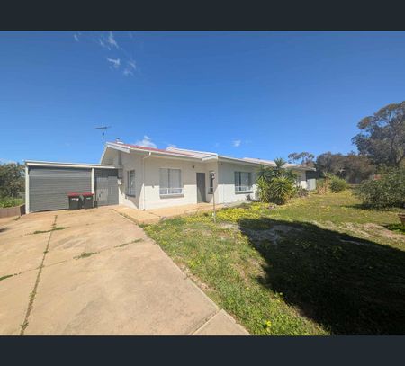 306-312 Adelaide Road, Murray Bridge, SA 5253 - Photo 2