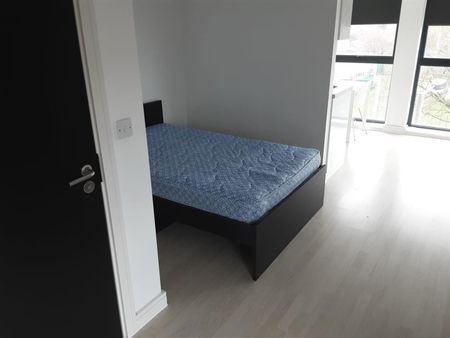 Studio Apartment - Studio To Rent - Photo 3