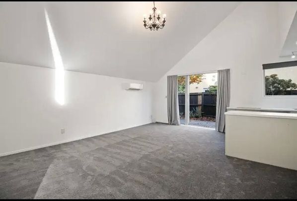 Spacious and Sunny with CBD Convenience - Photo 1