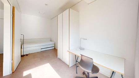 Einziehen, ankommen, mitstudieren – Zimmer in 2er-WG - Photo 5